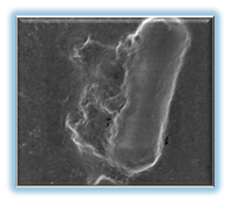 Illustration of reduced bacterial burden after treatment.