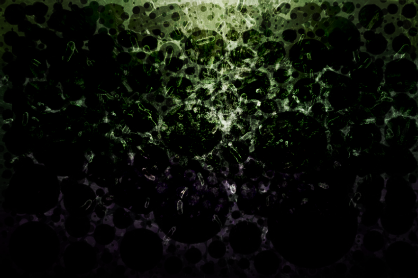 A microscopic view of bacteria after local antibiotic delivery.