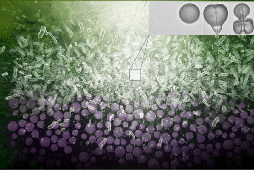 An explosive burst showing payload delivery into cells.